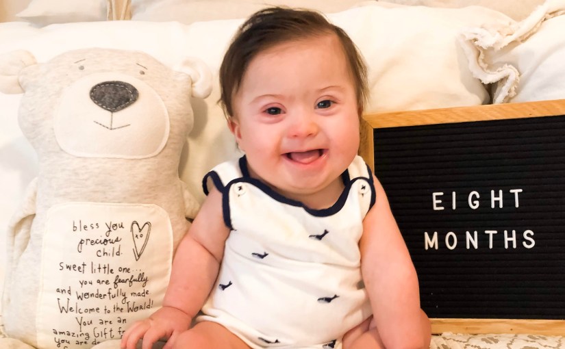 monthly update: eight&nbsp;months